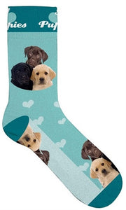Plenty Gifts Sokken Puppies Blauw 39-44