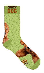Plenty Gifts Sokken Crazy Dog 39-44
