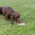 Trixie Lick'n'snack Mat Met Zuignappen Siliconen Salie 17 Cm