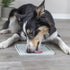 Trixie Lick'n'snack Mat Siliconen Lichtgrijs 20X20 Cm