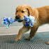 Kong Rope Ring Puppy Assorti 18X33X2,5 CM
