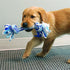 Kong Rope Tug Puppy Assorti 30,5X15,5X7 CM
