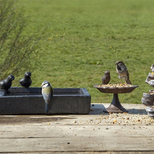 Best For Birds Vogelbad Terrazzo Granito Grijs 31,5X31,5X12,5 CM