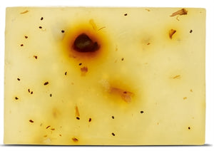 Beloved Vegan Pet Shampoo Bar 110 GR