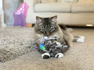 Rosewood Moody Moggy Omkeerbaar Grijpspeelgoed 18X10X6 CM