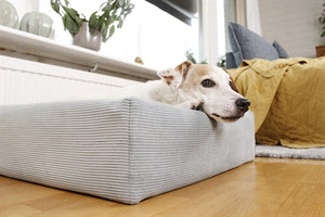 Bia Bed Rib Hoes Voor Hondenmand Blauw BIA-100 120X100X15 CM