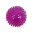 Zolux Pop Tpr Stekelbal Roze 8X8X8 Cm
