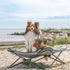 Trixie Stretcher Voor Hond Donkergrijs / Zwart 69X69X20 Cm