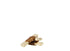 Petstyle Living Geperst Bot Wit Met Eend 10 CM 20 ST