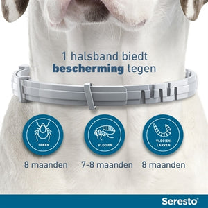 Bayer Seresto Teken- En Vlooienband Hond Vanaf 8 Kg 70 Cm 2 St