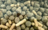 Utopia Drijvend Eendenvoer 1,2 Kg