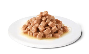 Advance Veterinary Diet Dog / Cat Recovery Herstel 11X100 GR