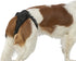 Trixie Beschermbroekje Comfort Mesh Materiaal Zwart 22-31 CM