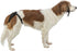 Trixie Beschermbroekje Comfort Mesh Materiaal Zwart 40-50 Cm