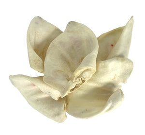 Petsnack Varkensoren Gepoft 60 ST