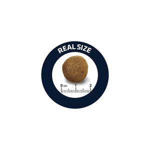 Advance Adult German Shepherd 12 KG