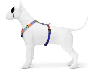 Morso Hondentuig H-Tuig Gerecycled Spring Blossom 60-80X2,5 CM