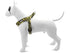 Morso Mini Hondentuig Verstelbaar Gerecycled Full Metal Dog Bruin 29-38X2,5 CM