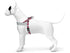 Morso Norwegian Hondentuig Gerecycled Skyline Rood / Roze 80-110X66 Cm