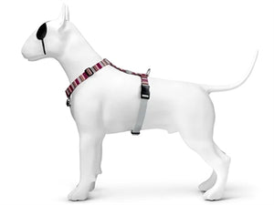 Morso Hondentuig H-Tuig Gerecycled Skyline Rood / Roze 40-55X1,5 Cm