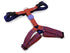 Morso Hondentuig H-Tuig Gerecycled Urban Lizard Rood 60-80X2,5 Cm