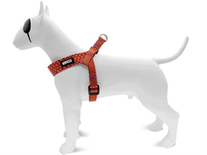 Morso Mini Hondentuig Verstelbaar Gerecycled Urban Lizard Rood 29-38X2,5 Cm