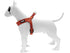 Morso Mini Hondentuig Verstelbaar Gerecycled Urban Lizard Rood 32-41X2,5 Cm