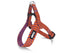 Morso Mini Hondentuig Verstelbaar Gerecycled Urban Lizard Rood 32-41X2,5 Cm