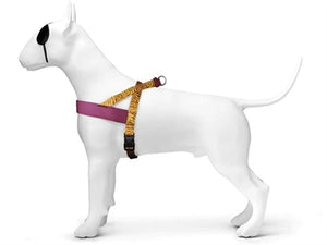 Morso Norwegian Hondentuig Gerecycled Jungle Drum Groen 46-60X42 CM