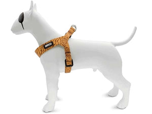 Morso Mini Hondentuig Verstelbaar Gerecycled Jungle Drum Groen 24-32X1,5 CM