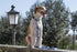 Morso Halsband Hond Gerecycled Splash Blauw 37-58X2,5 Cm