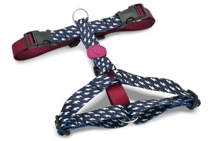 Morso Hondentuig H-Tuig Gerecycled Power Flow Zwart 50-70X1,5 CM