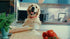 Morso Halsband Hond Gerecycled Bubble Leo Roze 43-70X2,5 Cm