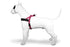Morso Norwegian Hondentuig Gerecycled Bubble Leo Roze 39-48X35 Cm