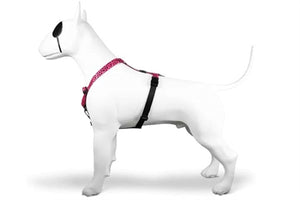 Morso Hondentuig H-Tuig Gerecycled Bubble Leo Roze 40-55X1,5 CM