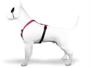 Morso Hondentuig H-Tuig Gerecycled Bubble Leo Roze 70-100X2,5 Cm