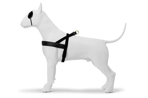 Morso Norwegian Hondentuig Gerecycled Gold Caviar Goud 54-70X52 CM