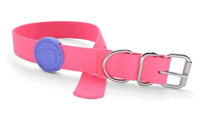 Morso Halsband Hond Waterproof Gerecycled Passion Pink Roze 38-46X1,5 CM