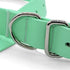 Morso Halsband Hond Waterproof Gerecycled Carribean Green Groen 23-31X1,5 CM