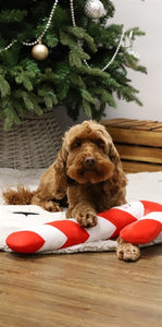 Cupid & Comet Xmas Candy Cane Met Flostouw Kern 44X20 CM