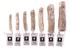 Martin Kauwwortel Koffiehout Xs