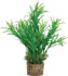 Zolux Ornament Pastic Plant Op Stenen Neutraal Assorti 20X10X10 CM
