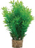 Zolux Ornament Pastic Plant Op Stenen Neutraal Assorti 20X10X10 CM