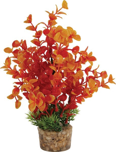 Zolux Ornament Pastic Plant Op Stenen Vrolijk Assorti 20X10X10 CM