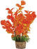 Zolux Ornament Pastic Plant Op Stenen Vrolijk Assorti 20X10X10 CM