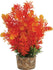 Zolux Ornament Pastic Plant Op Stenen Puntig Assorti 20X10X10 CM