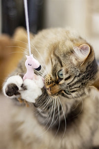 Rosewood Kattenhengel Flamingo Eco Friendly Gerecycled 29X11X2 CM