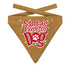 Plenty Gifts Kerst Bandana Santa's Favorite Dog Glitter Goud 16-20 CM 18,5X22,5 CM