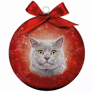 Plenty Gifts Kerstbal Frosted Grijze Kat Rood 10 CM
