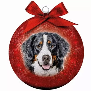 Plenty Gifts Kerstbal Frosted Berner Sennen Rood 10 CM